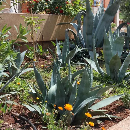 Appartement With A Parking Space Punat, Krk - 5350 Punat